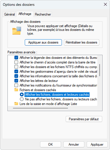 afficher dossiers et fichiers cachés windows 11